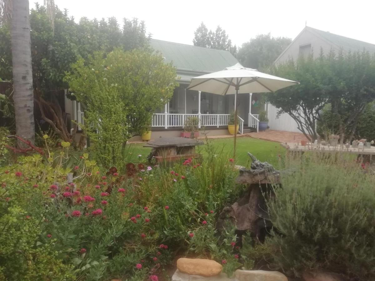 Housemartin Lodge & Self Catering De Rust Exterior foto